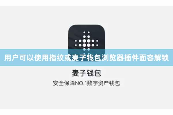 用户可以使用指纹或麦子钱包浏览器插件面容解锁