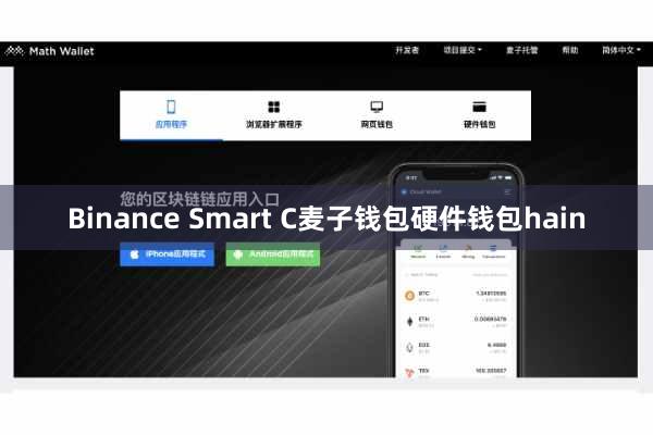 Binance Smart C麦子钱包硬件钱包hain