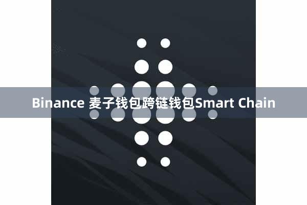 Binance 麦子钱包跨链钱包Smart Chain