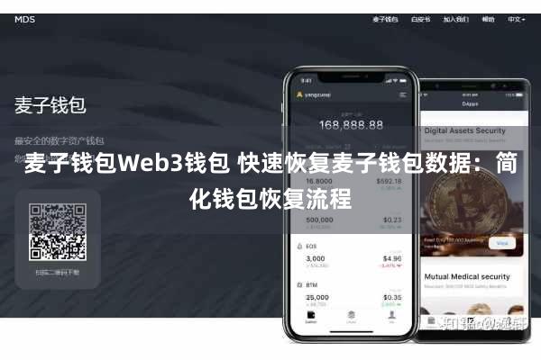 麦子钱包Web3钱包 快速恢复麦子钱包数据：简化钱包恢复流程