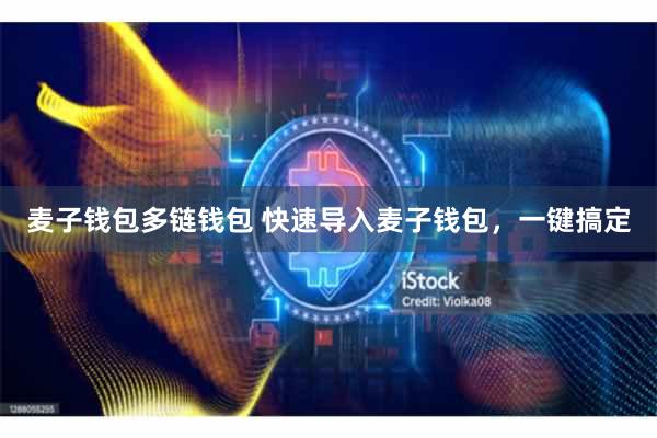 麦子钱包多链钱包 快速导入麦子钱包，一键搞定