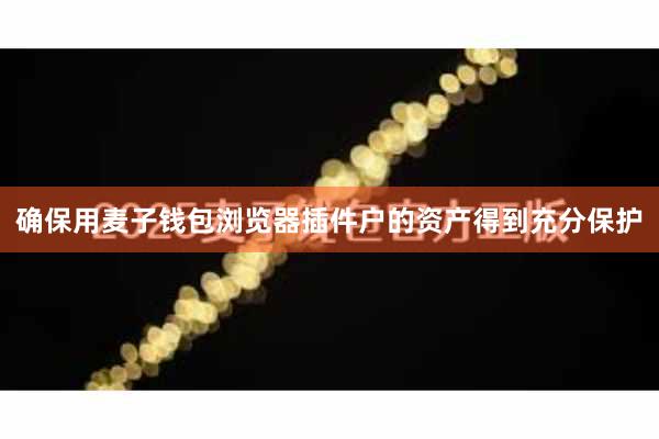 确保用麦子钱包浏览器插件户的资产得到充分保护