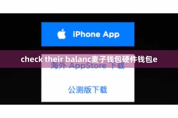 check their balanc麦子钱包硬件钱包e