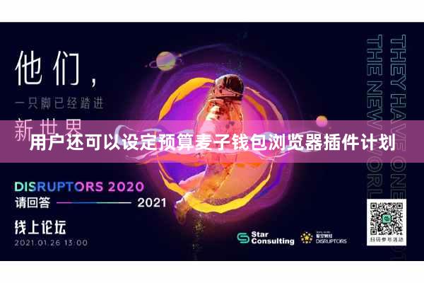 用户还可以设定预算麦子钱包浏览器插件计划