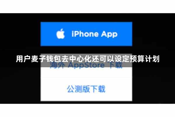 用户麦子钱包去中心化还可以设定预算计划