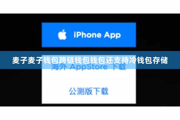 麦子麦子钱包跨链钱包钱包还支持冷钱包存储