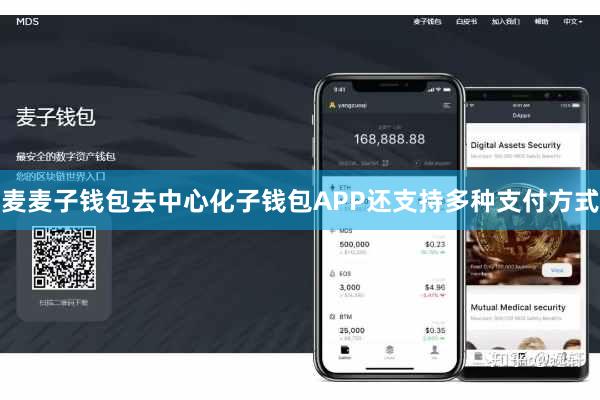 麦麦子钱包去中心化子钱包APP还支持多种支付方式