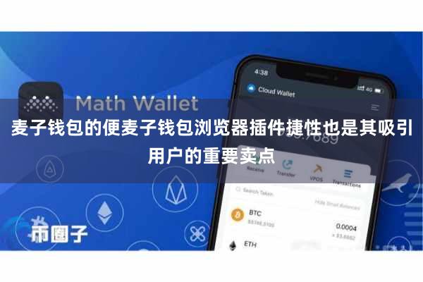 麦子钱包的便麦子钱包浏览器插件捷性也是其吸引用户的重要卖点