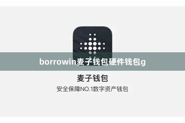 borrowin麦子钱包硬件钱包g
