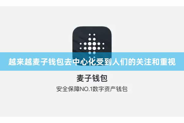 越来越麦子钱包去中心化受到人们的关注和重视
